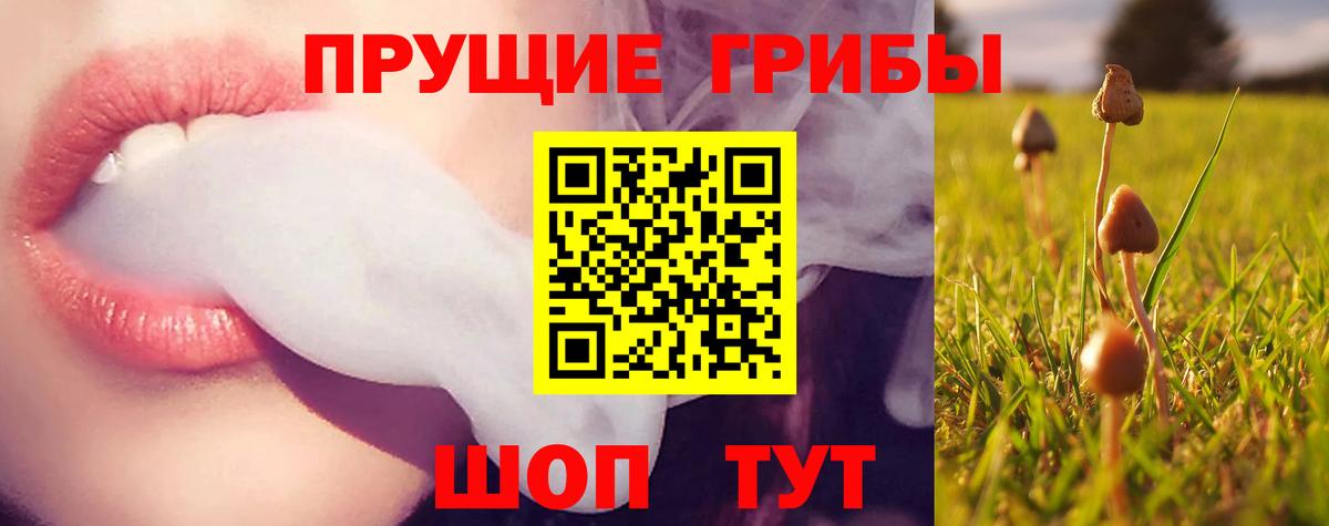 Псилоцибиновые грибы ЛСД  Вход с VPN  Верхний Уфалей 