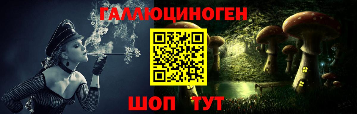 Псилоцибиновые грибы Psilocybe Верхний Уфалей
